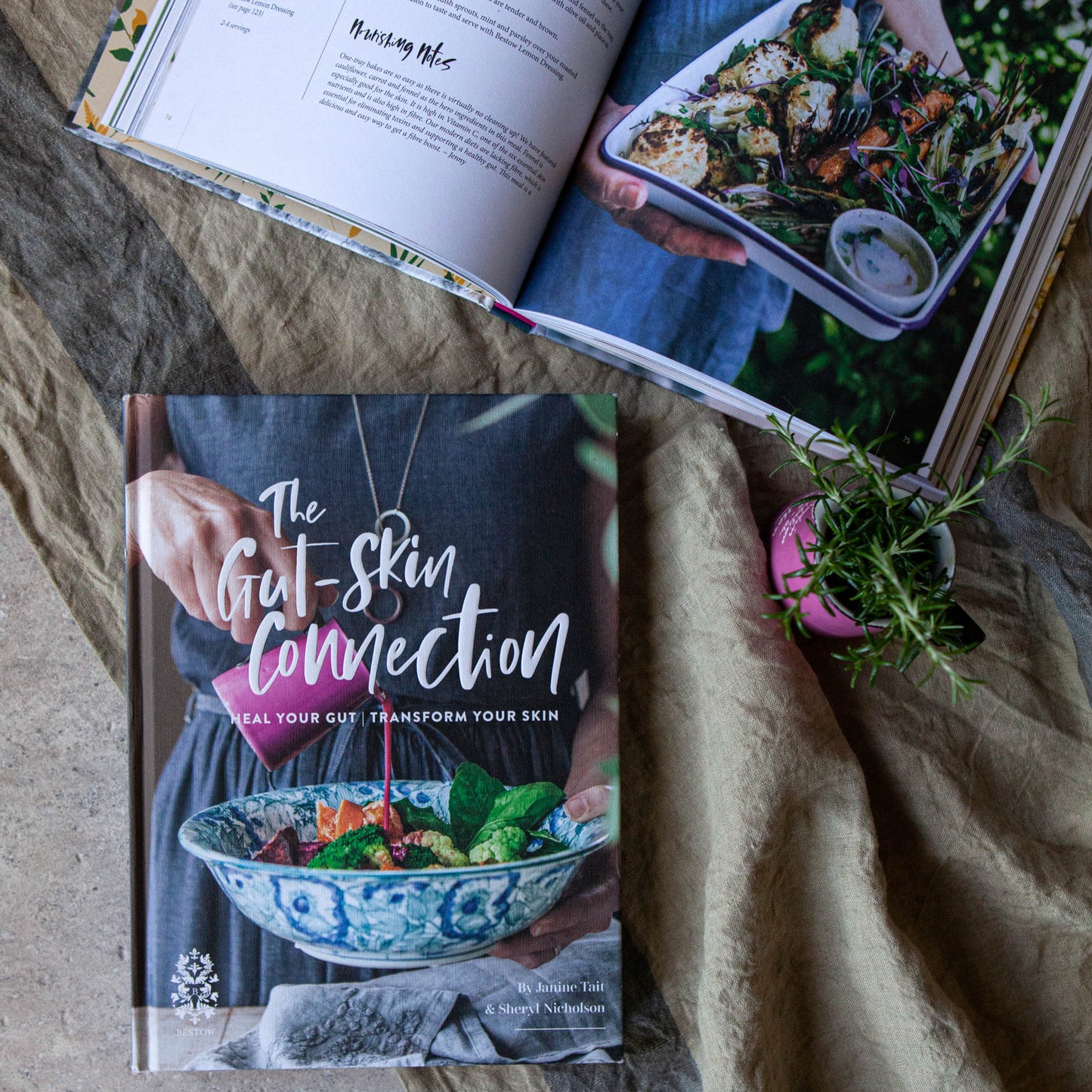Gut-Skin Connection Book