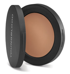 Ultimate Concealer